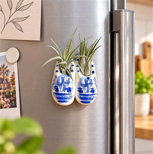 Delft Blue Ceramic Clog with Air Plant – 5cm