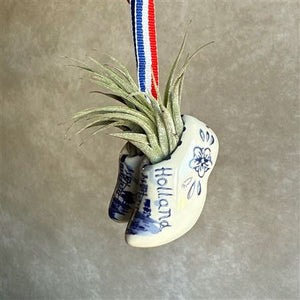 Delft Blue Ceramic Clog with Air Plant – 5cm