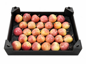 Natural Wax Apple Decoration – Light Brown