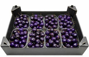 Purple Crabapple Branches – Decorative Cut Stems