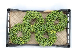 Green Lilac Wreath – 20cm Diameter