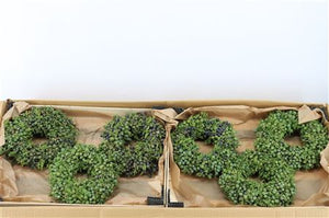 Green Juniperus Wreath – 18cm
