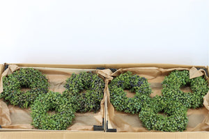 Green Juniperus Wreath – 18cm