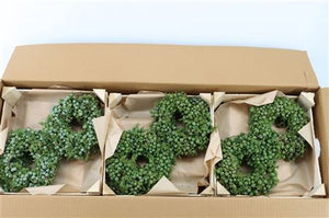 Blue Juniperus Wreath – 20cm