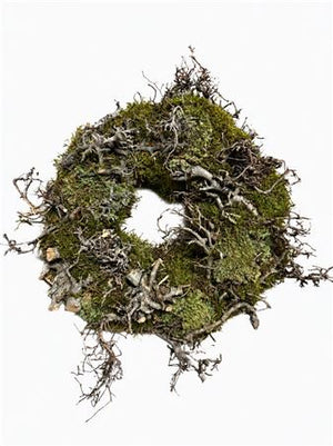 Boll Moss Wreath – 45cm