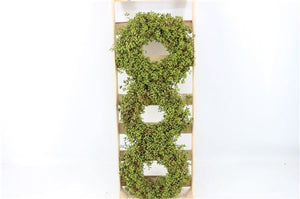 Green Berry Wreath – 30cm