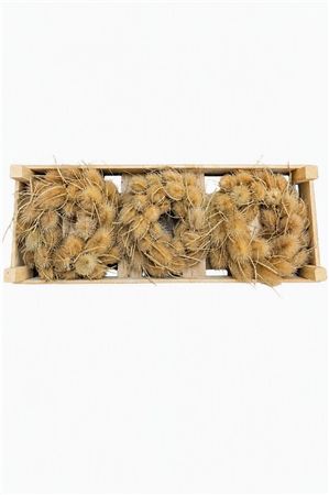 Natural Thistle Wreath – 20cm