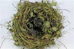 Green Preserved Rose Wreath – 45cm