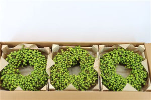 Green Lilac de Chine Decorative Wreath – 12cm