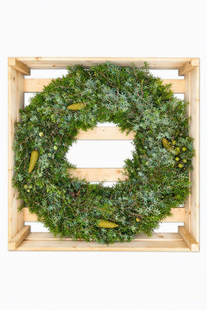 Green Juniper Pine Wreath – 60cm