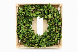 Green Steeneik Wreath – 50cm
