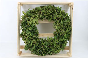 Green Steeneik Wreath – 60cm