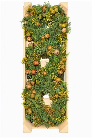 Green Cypress Exotica Wreath – 20cm