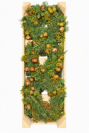Green Cypress Exotica Wreath – 20cm