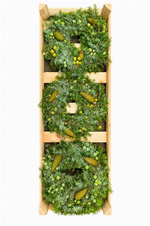 Green Juniper Pine Wreath – 30cm