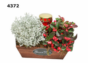 Medium Wooden Plant Arrangement – 24cm