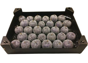 Purple Wax Apple Decorative Plant