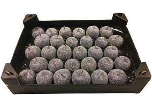 Purple Wax Apple Decorative Plant