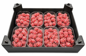 Red Wax Apple Decoration – Christmas Display