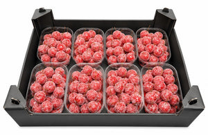 Red Wax Apple Decoration – Christmas Display