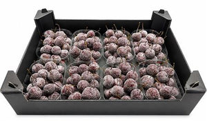 Red Crab Apple Branches – Decorative Display