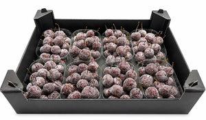 Red Crab Apple Branches – Decorative Cut Stems
