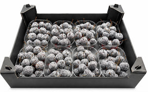 Black Wax Apple Decorative Branches – 8 Stems