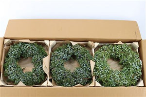 Blue Juniper Wreath – 12cm