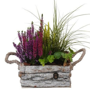 Autumn Outdoor Plant Arrangement – 20cm Wooden Trough