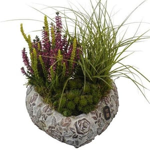 All Saints Heart-Shaped Plant Arrangement – 22cm Pot