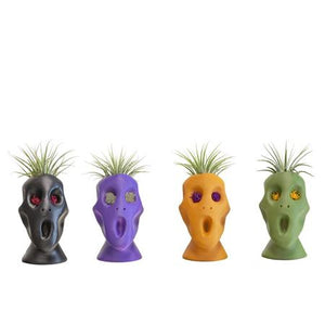 Tillandsia ionantha Air Plant in Ceramic Zombie Head – 6cm Pot