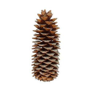 Decorative Sugar Pine Tree with Pinecones – 35cm