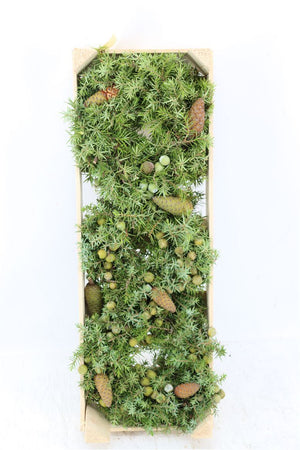 Green Juniper and Pine Wreath – 20cm
