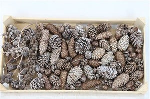 Pinecone Mix Wax Caramel Dried Flower Arrangement