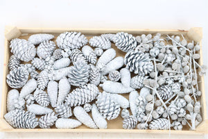 White Pinecone Mix Dried Flowers
