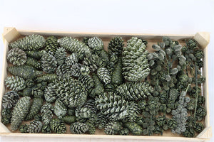 Green Pinecone Mix Decorative Stems