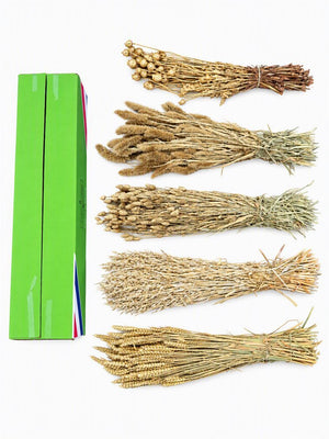 Dried Mixed Gold Flower Bunch – 60–69cm