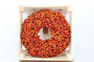 Orange Rosehip Wreath – 35cm