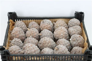 Natural Wax Pine Cone Christmas Decoration