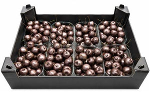 Grey Wax Apple Decoration