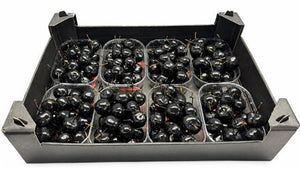 Black Wax Apple Decorative Stems – Pack of 8