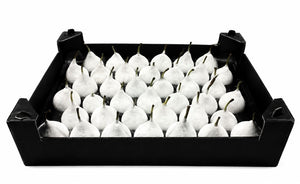 White Wax Flower Decorative Stems