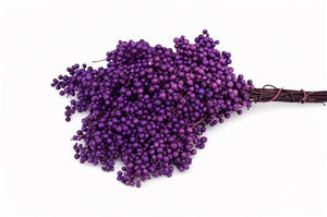 Purple Schinus Dried Flower Bunch