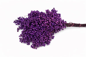 Purple Schinus Dried Flower Bunch