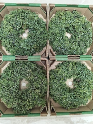 Juniperus Wreath – 30cm Mixed Colour