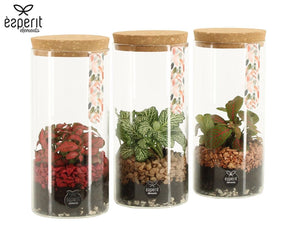 Recreate Glass Terrarium Arrangement – 9cm