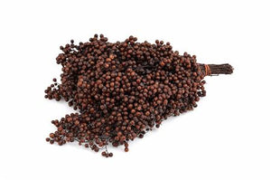 Schinus Brown Bunch – 25–49cm Stems