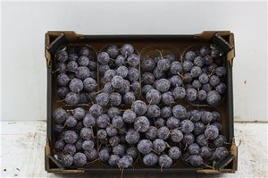 Purple Crabapple Branches – Decorative Cut Stems