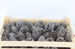 Brown Wax Pine Cone Decoration