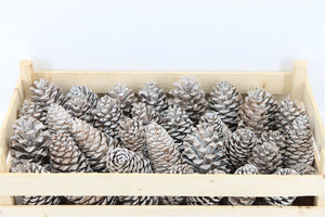 Cream Wax Pine Cone Decoration